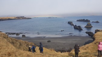 2018-05-05 13.46.42.jpg